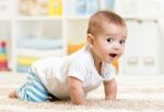 crawling funny baby boy indoors at home