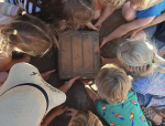 Hort Waldkids 2026-Inselhopping-3